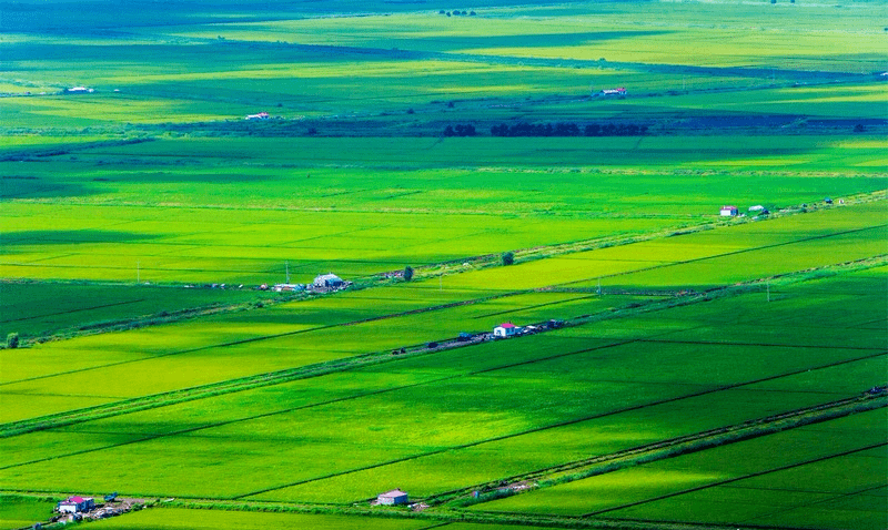 【边疆时空】倾听边疆|一首《黑龙江之恋》带你走进美丽神奇的黑土地