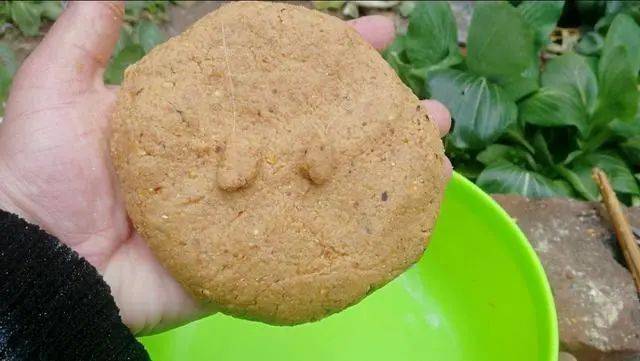 这款自制鲤鱼饵,老钓手都在偷偷用_饵料