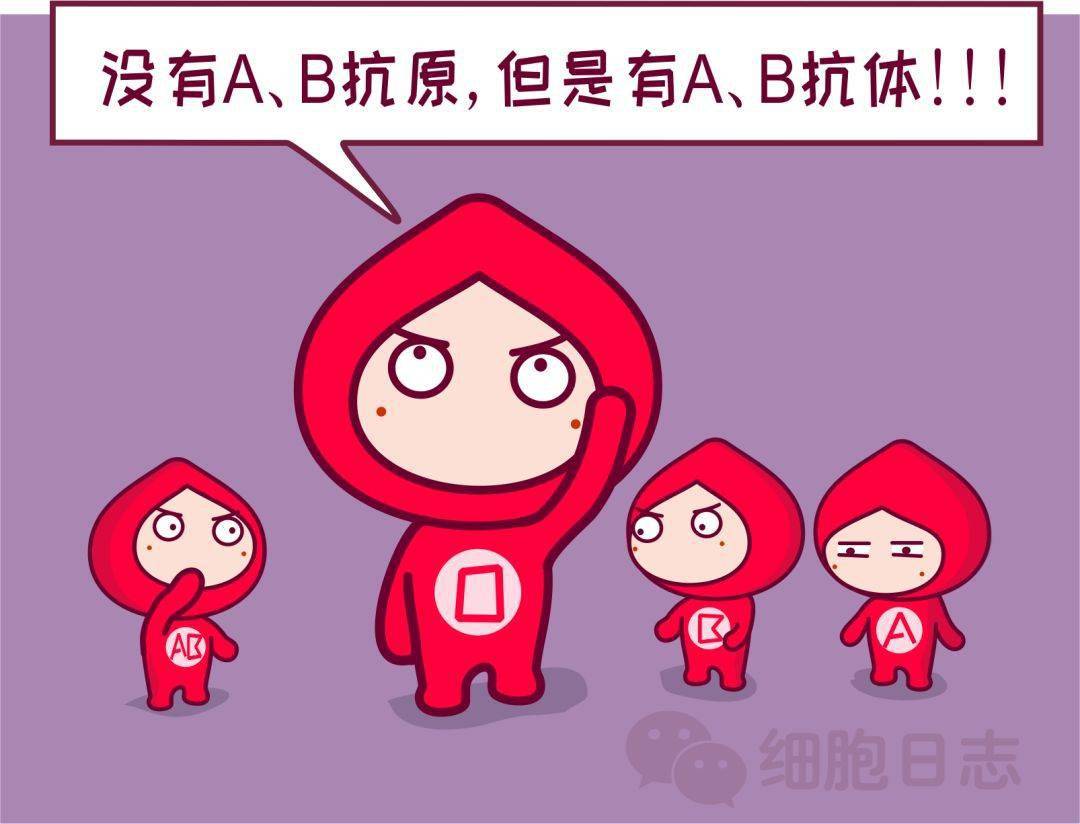 红细胞上的抗原和血清中的抗体,决定了我们的abo血型.