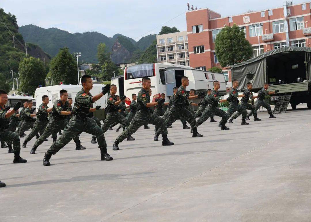 觀摩刺殺操,擒敵拳,實彈射擊等軍事科目演練,參觀武警和民兵裝備展(演