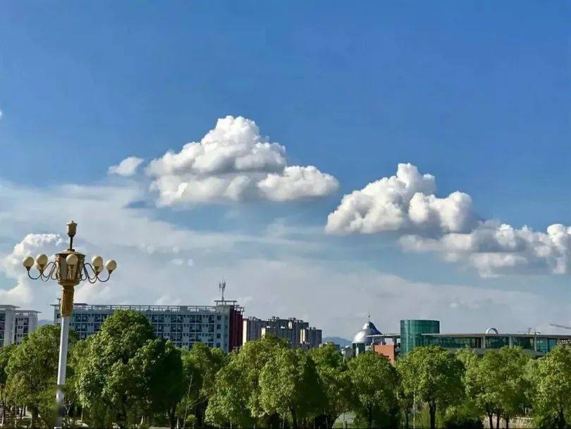 有人拍了拍你南昌工学院特色培养计划等你来战