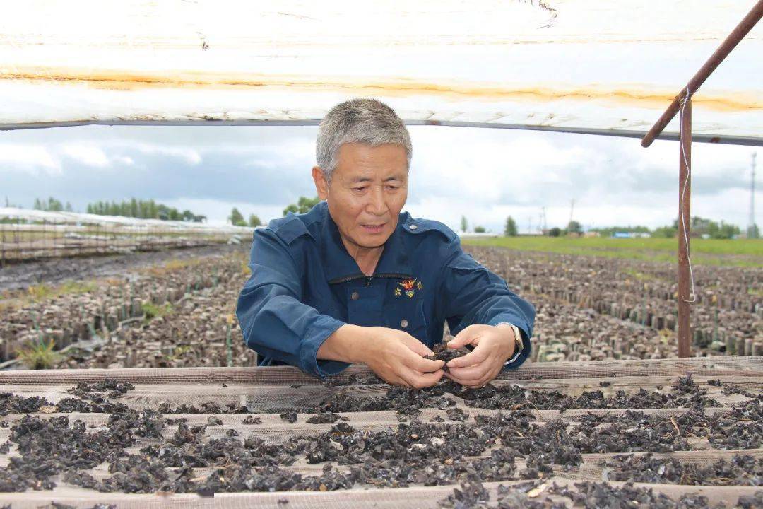 驻村第一书记马权脱贫致富路上站好岗做好事