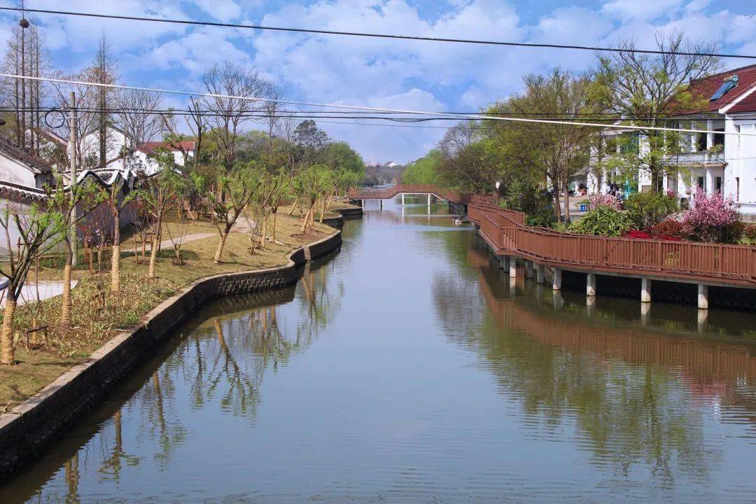 生态文明建设水生态颜值担当嘉兴科技城大桥镇打造美丽河道巩固治水