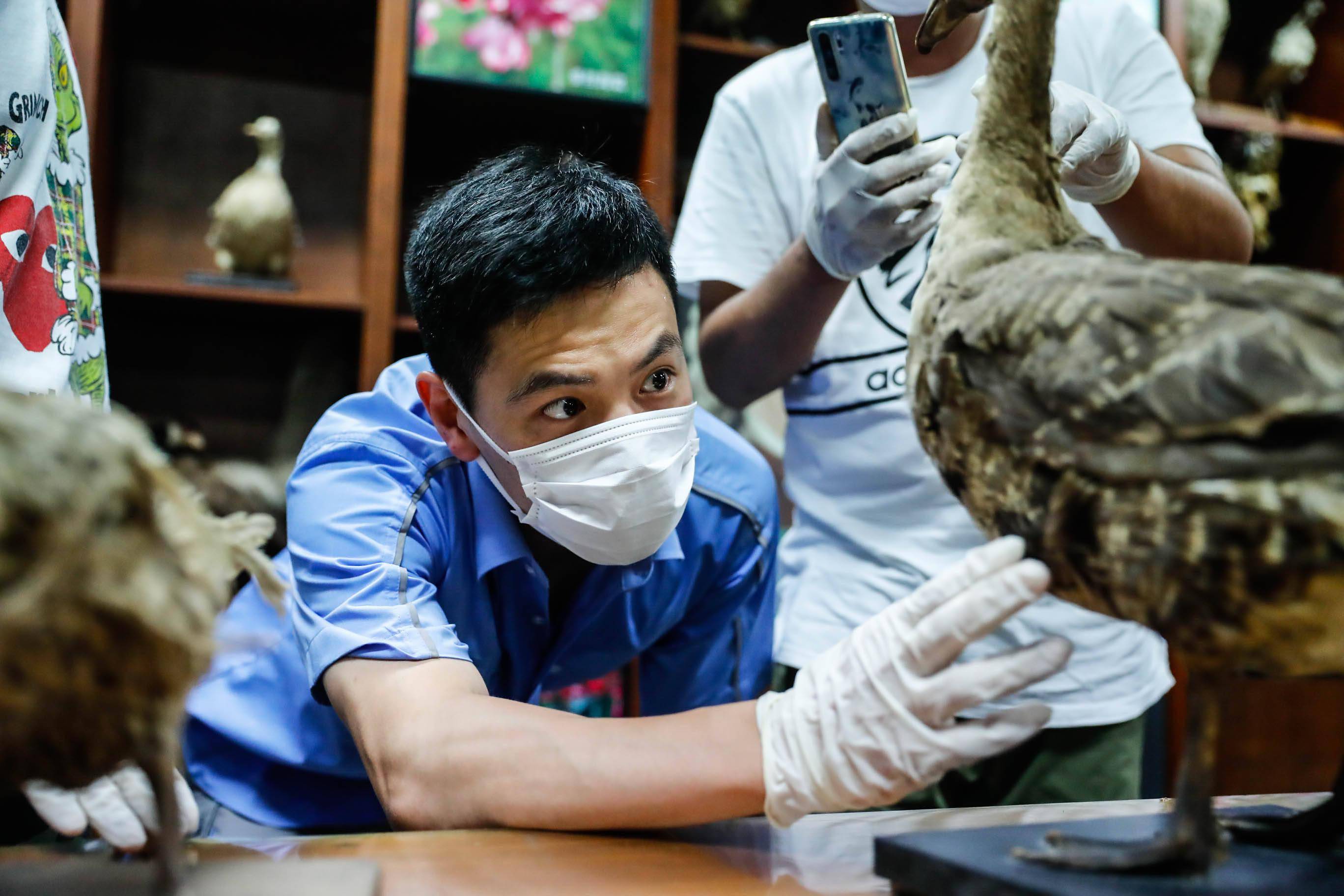还百岁特级教师心愿上海自博馆接高龄标本回馆修复