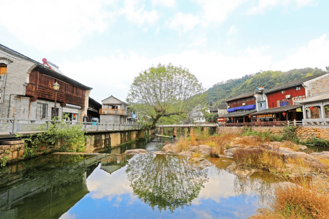 巖頭村進商量崗景區搭小木屋,夜探原始森林,攀登四明山山峰,打卡民國