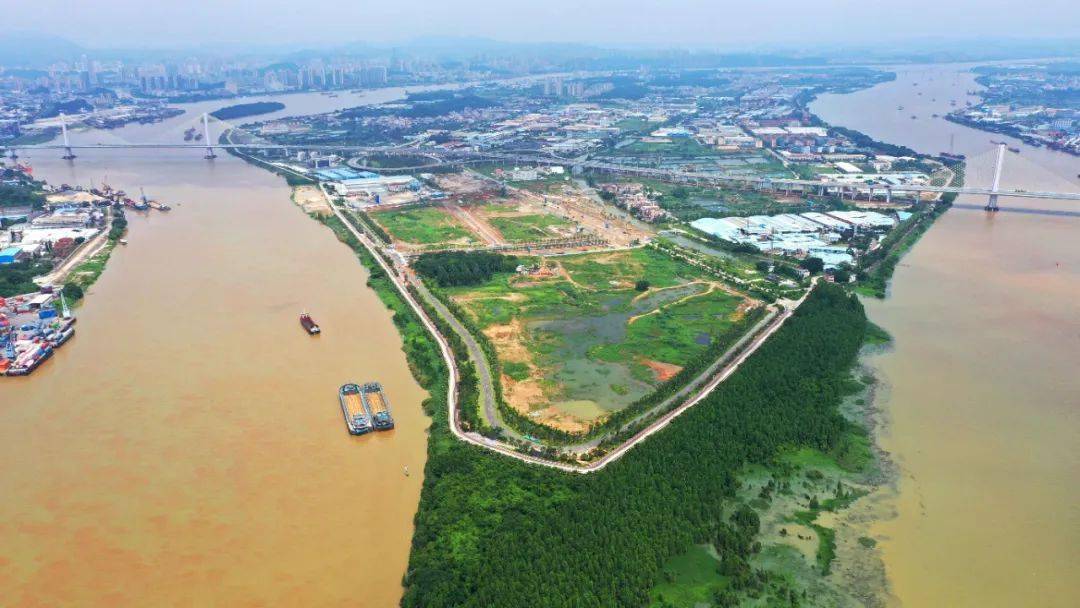 一起来当评委江门人才岛摄影大赛请你来投票