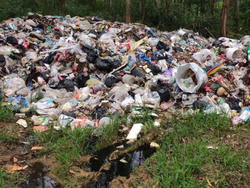 灵山这个树林垃圾成堆让人心痛