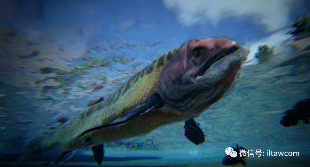看起来比鲨鱼更可怕的史前鱼类