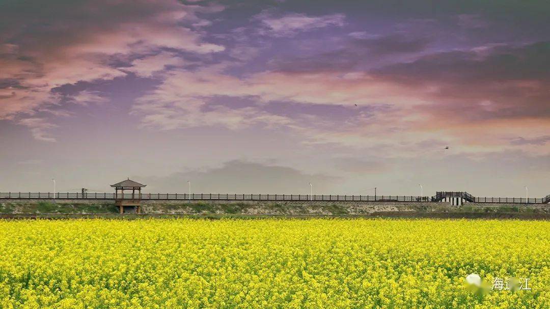 连江人2020年美丽乡村建设名单