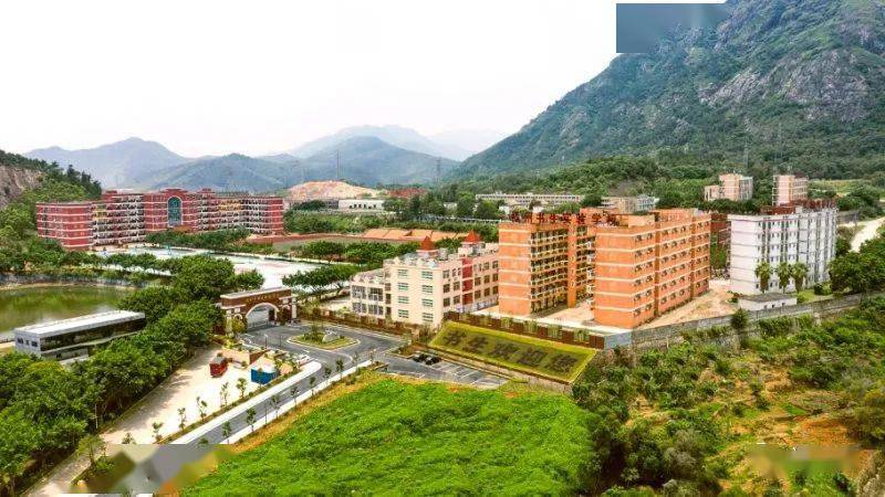 这就是福州市书生实验学校"天鹅孵化"理念指引下单科成绩在福州市十校