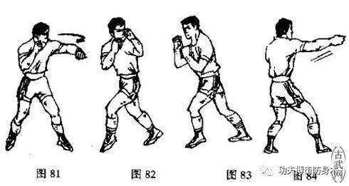 拳击步法教学图片