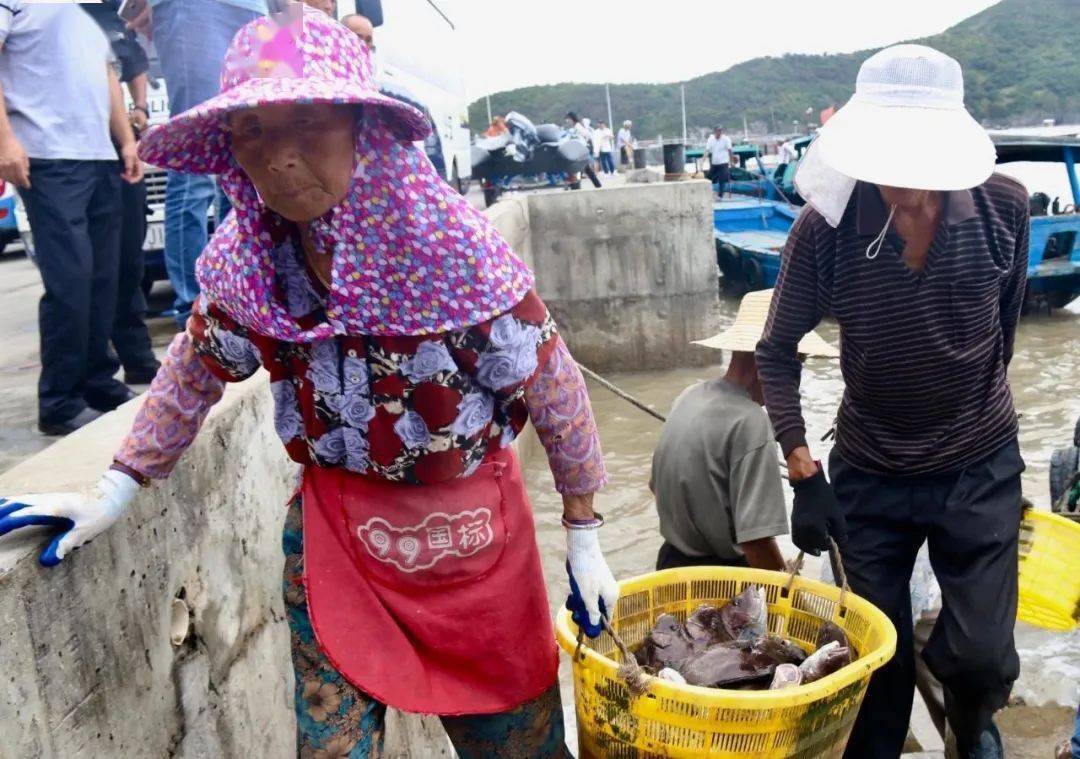 霞浦:陆续迎来第一波返港渔船