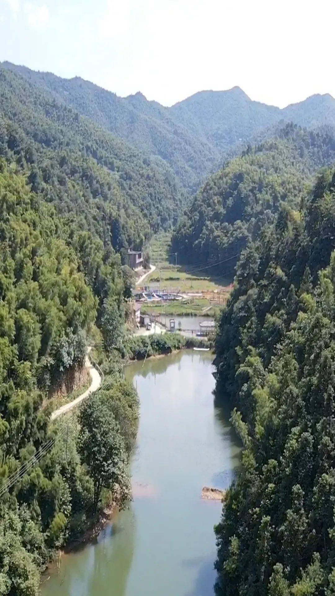 祁東這個村漫山遍野翠竹成林村民依靠巧手發竹財