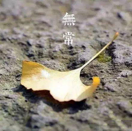 菩提:往后余生,静而不争