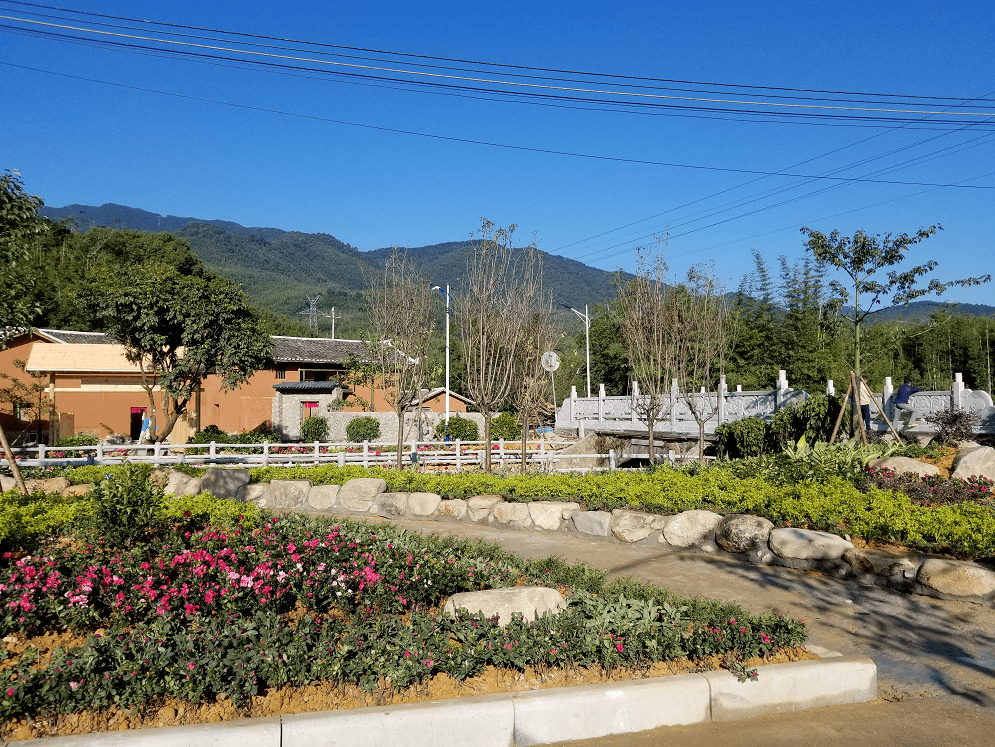 你一票我一票新丰必须要出道