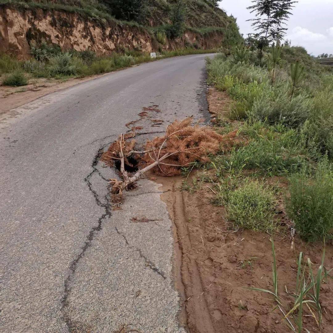 鎮原三岔:大雨過後這些路段危險!