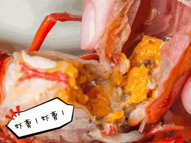 小龙虾头部的黄色到底是什么能吃吗