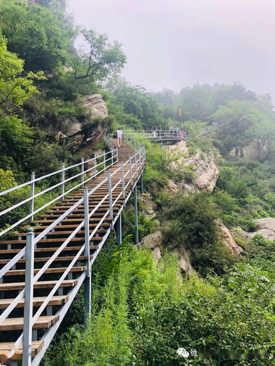 老树,老院,老历史车谷砣村原名车轱辘坨村,是灵寿县西北部深山区的一