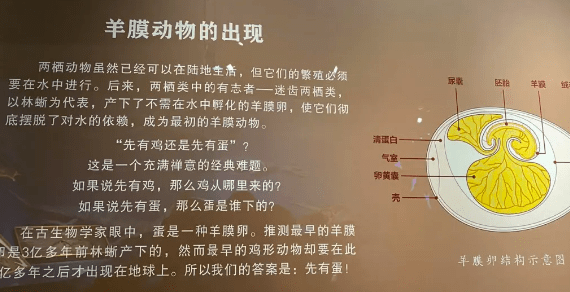 說話都離不開的下頜嘴巴只能永遠張著 無法閉合最古老的魚類是無頜魚1