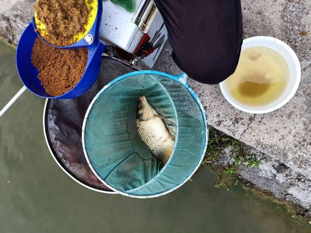 到了8月份,想要多釣魚,就選這三個位置!_鏵尖