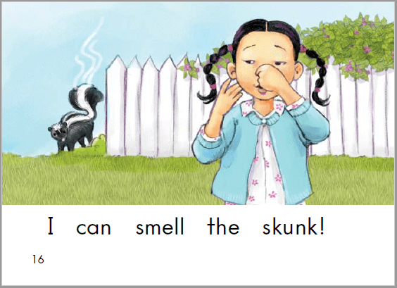 i can smell the skunk!我能闻到臭鼬.