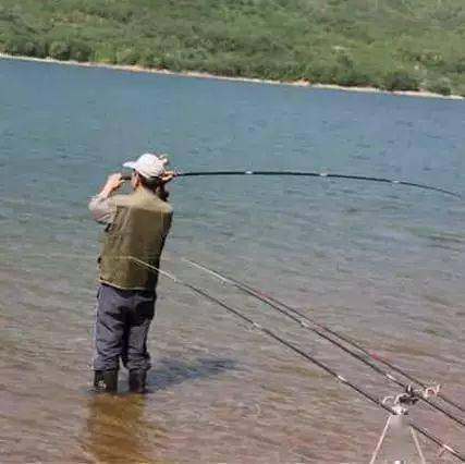 底钓时,需要看到什么样的漂相提竿才是有效抓口