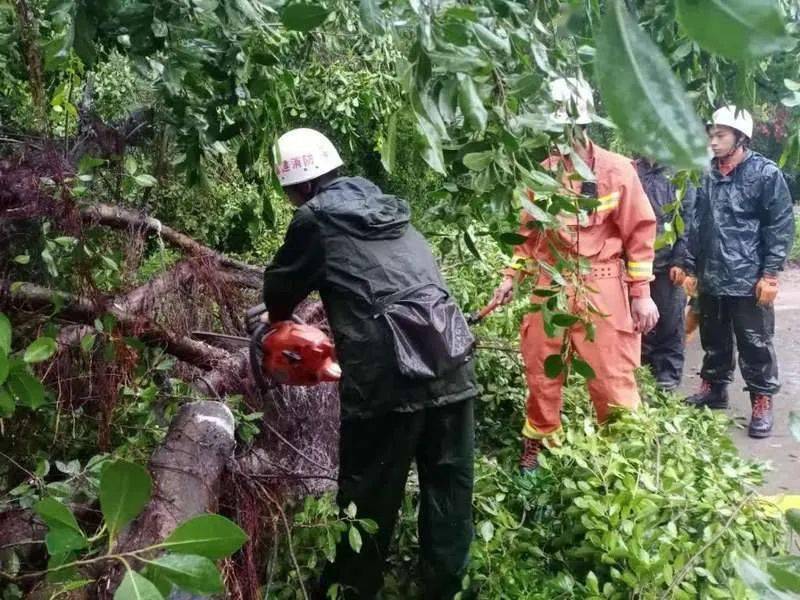 台风"米克拉"来袭 福建消防力量迅速投入救援