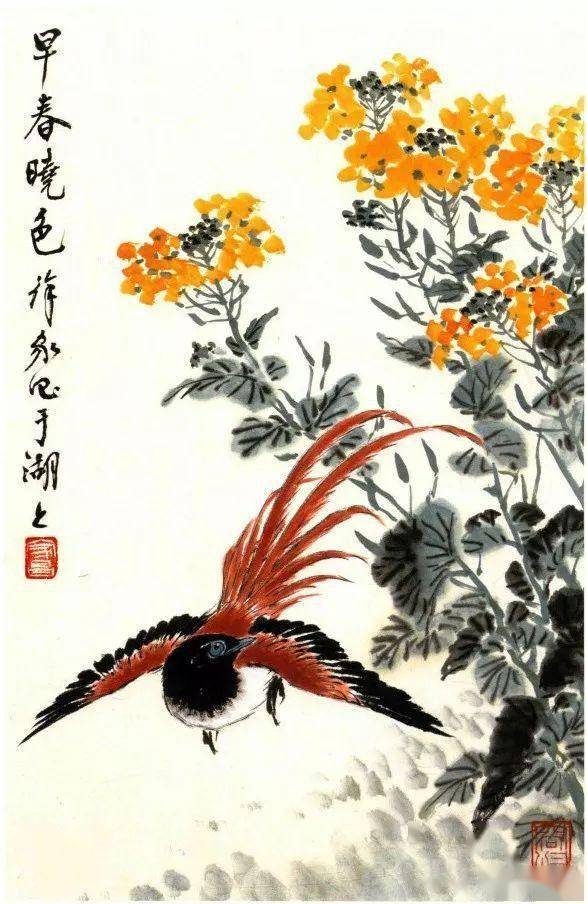 徐家昌 百鸟百花画集录分享_手机搜狐网