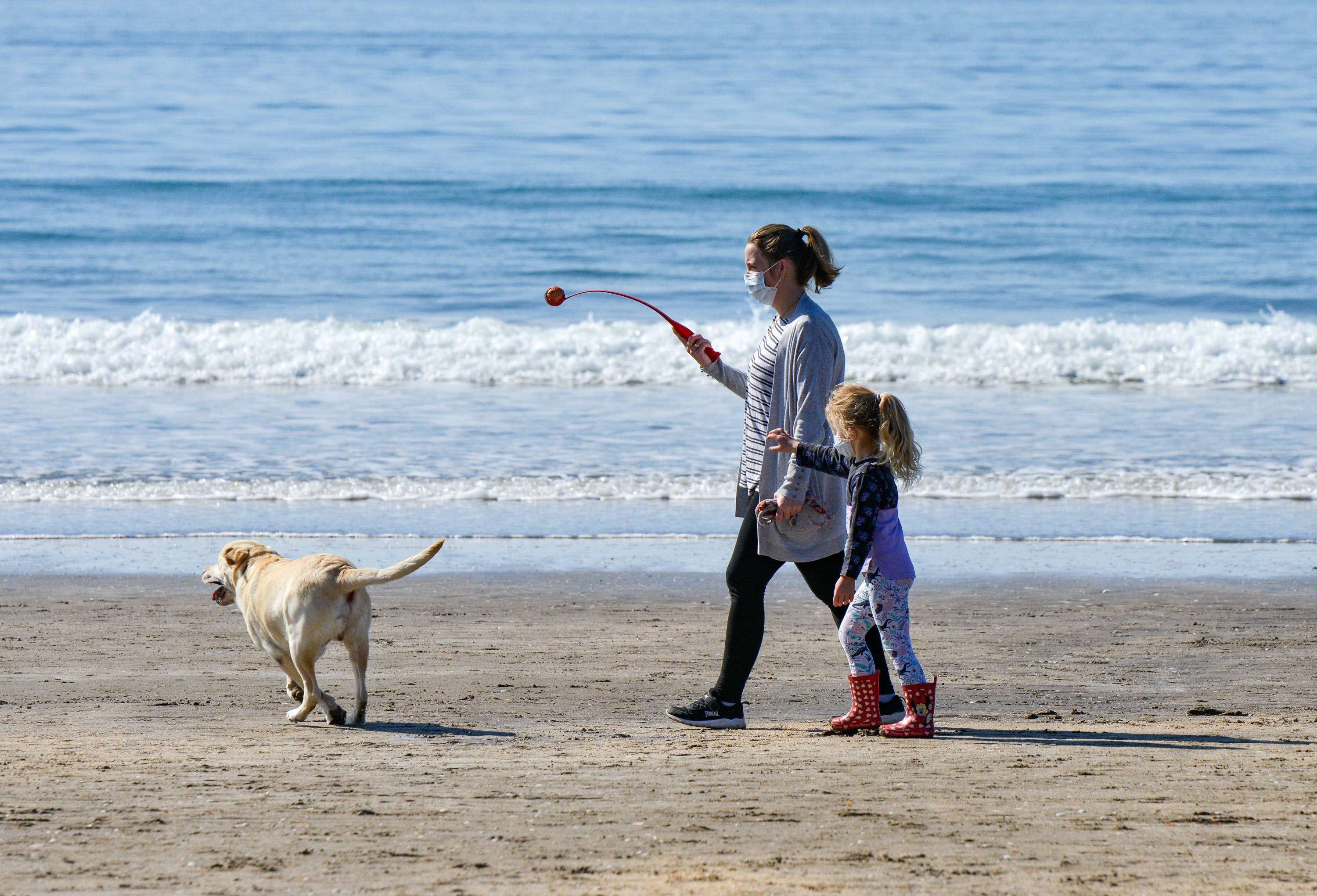 8月15日,在新西兰最大城市奥克兰的海边,一名女子带着孩子遛狗