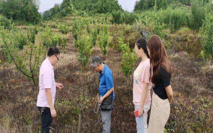 鄉村振興望銅職 | 銅仁職院赴印江自治縣木黃鎮開展中藥材種植技術