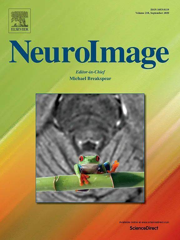 neuroimageneuroimage 是一本关注脑功能的期刊,旨在为了解借助神经