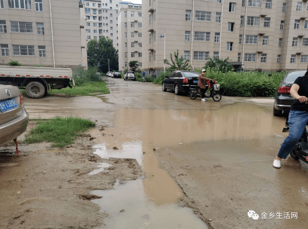 这是我们在金乡见过环境最差的小区没有之一