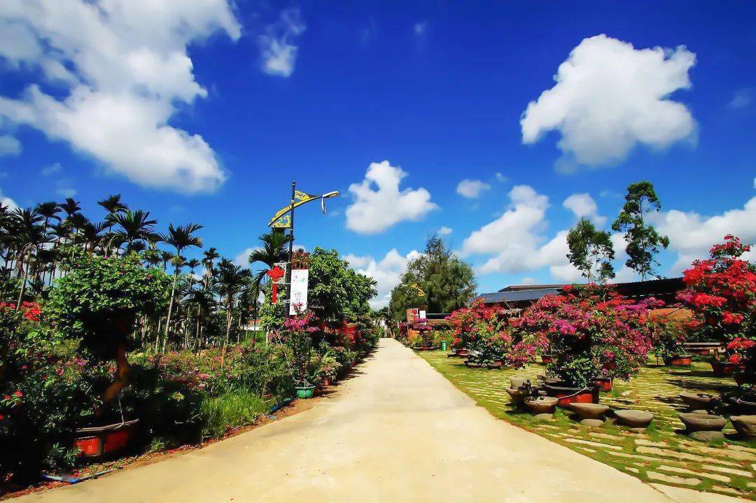 省美丽乡村示范村建设中获评三星级美丽乡村,位于万宁市万城镇东南边