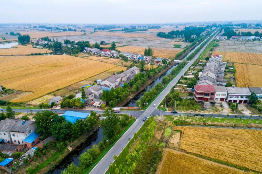 太美了!郑场入选省"四好农村路"示范乡镇