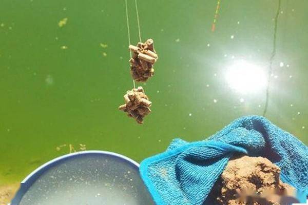 钓鱼技巧:多种诱鱼咬钩技巧,提升垂钓效率,让渔获飙升几倍