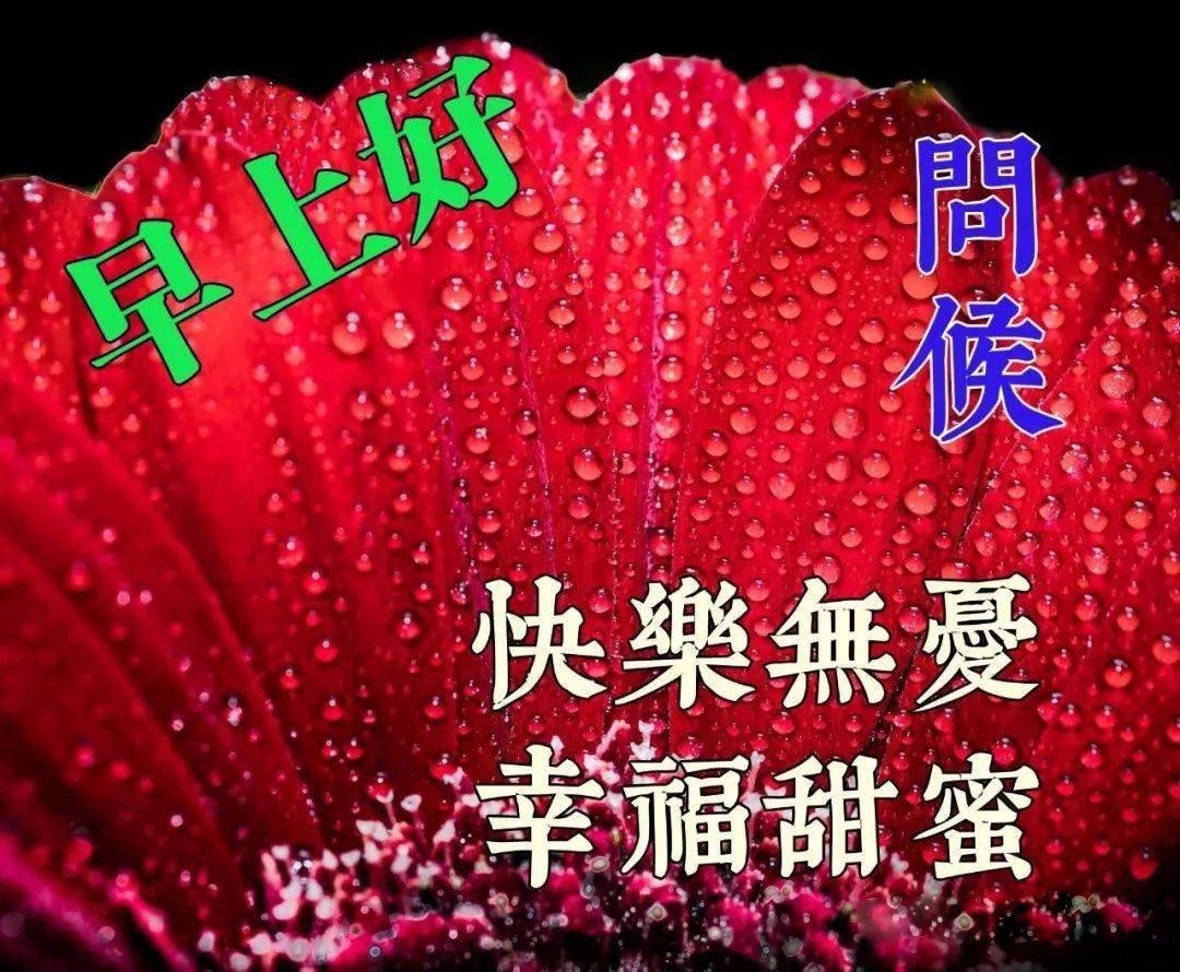 8月18特別漂亮的早上好問候祝福圖片2020新版早上好問候表情祝福圖片