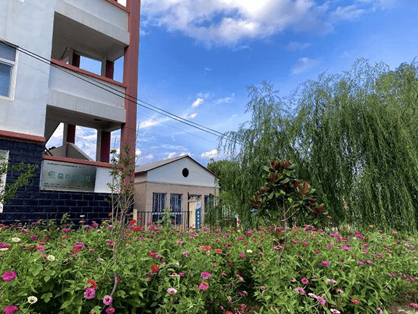 西平县杨庄乡人居环境整治让乡村生活更美好