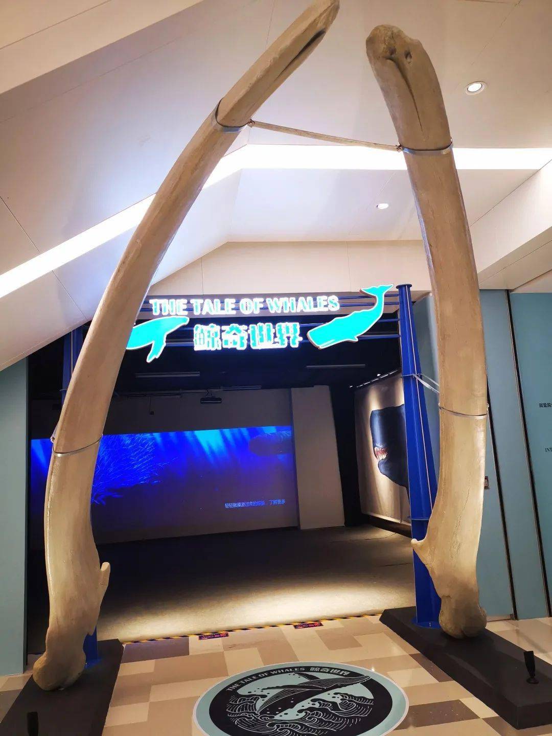 "鲸奇世界"展览在丽宝乐园正式开幕