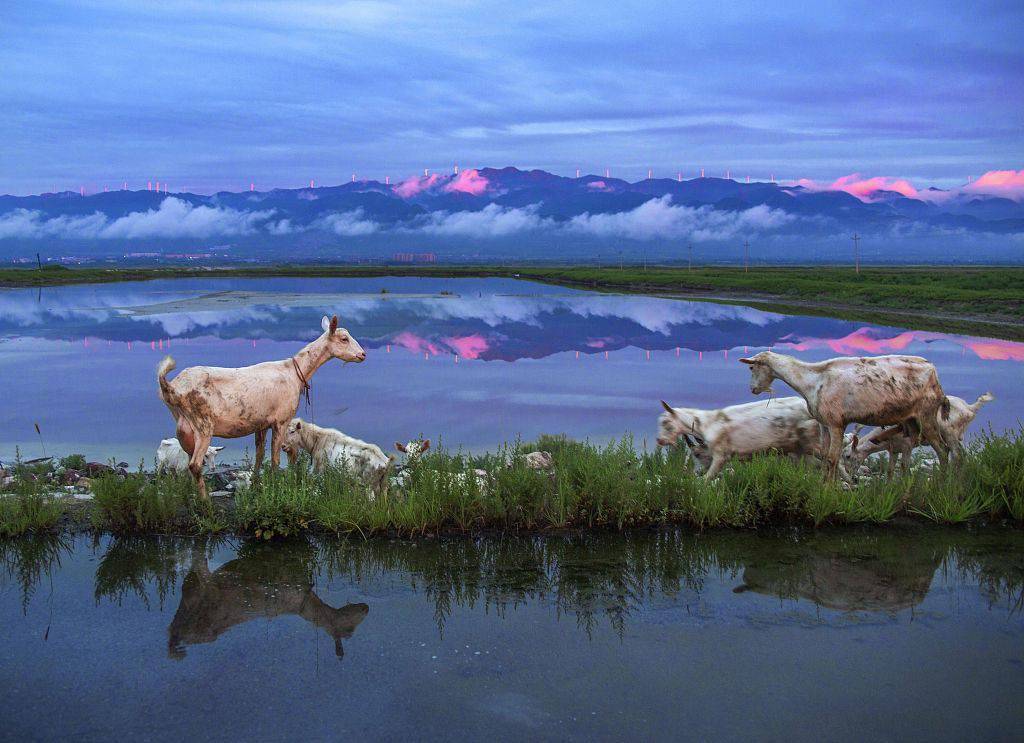 山西运城:雨后千年盐湖美如画_中条山