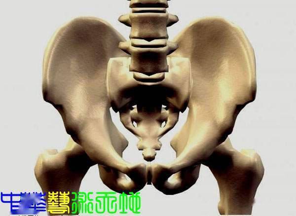 悬钟穴治疗肩胛重痛-搜狐大视野-搜狐新闻