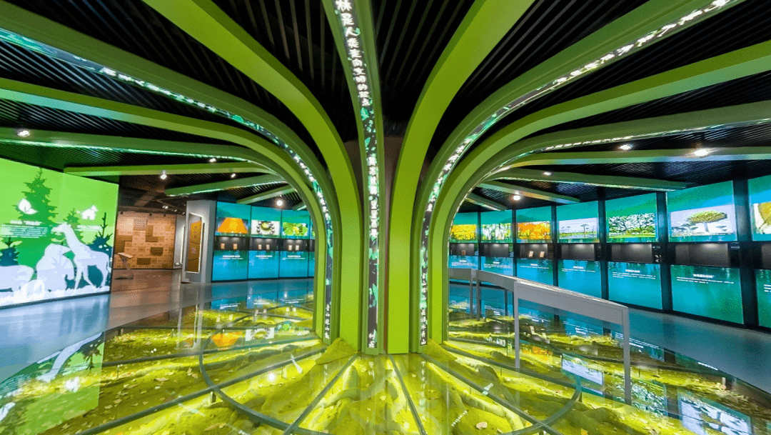 优秀展馆设计鉴赏 | 识,爱,用,闻木,万林木文化展示馆