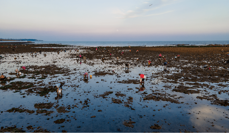 夏秋荣成海趣足,赶海好去处有哪些?赶海的诀窍与注意事项又有哪些?