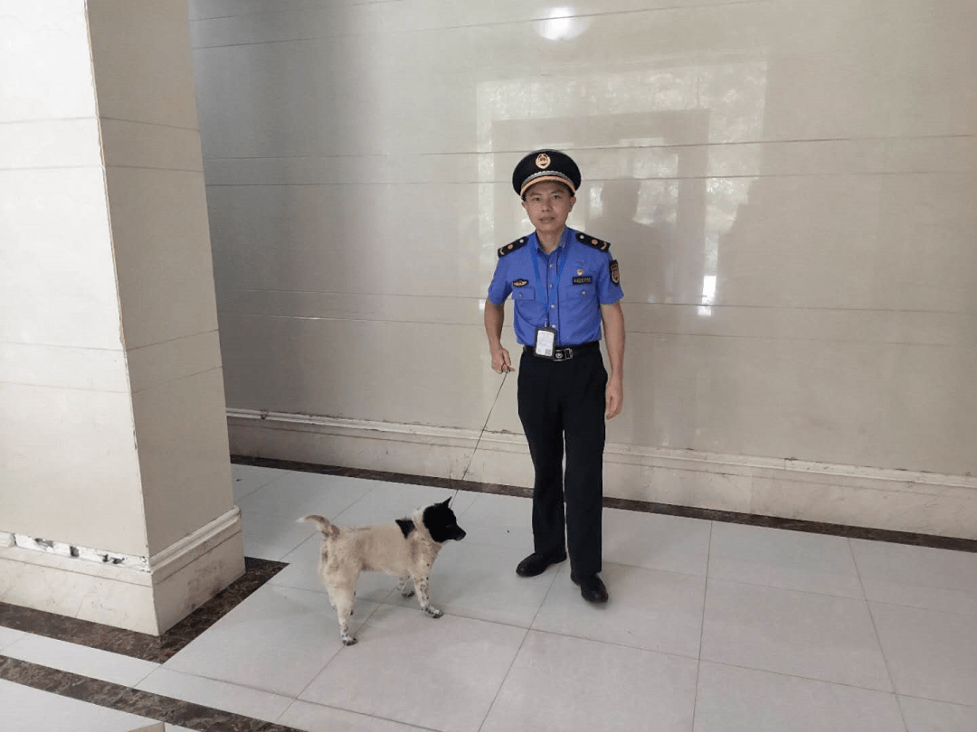 温馨一瞬丨让爱不流浪,随城管蜀黍一起感受"逮狗"背后的温情执法