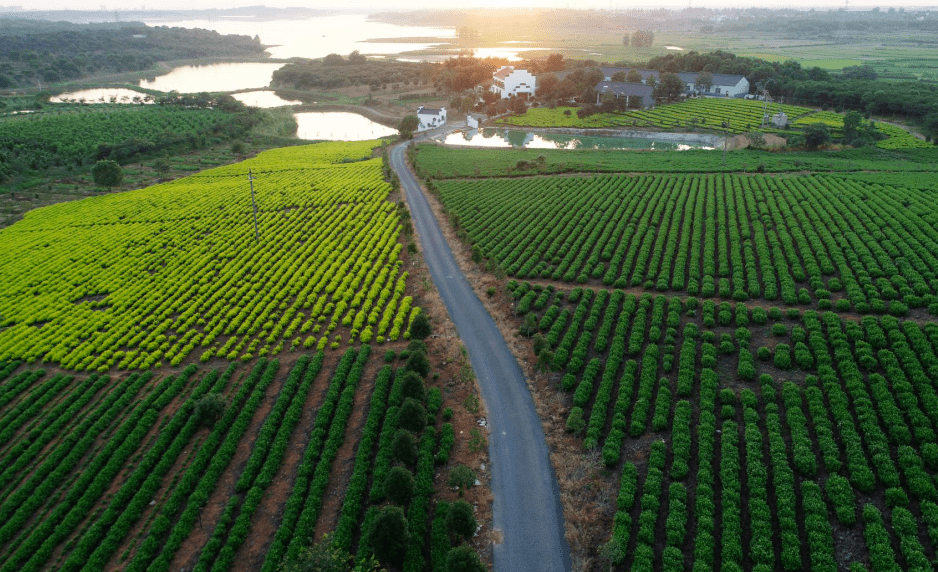 盛夏何处去最宜伍员山凌笪乡获评安徽省避暑旅游目的地