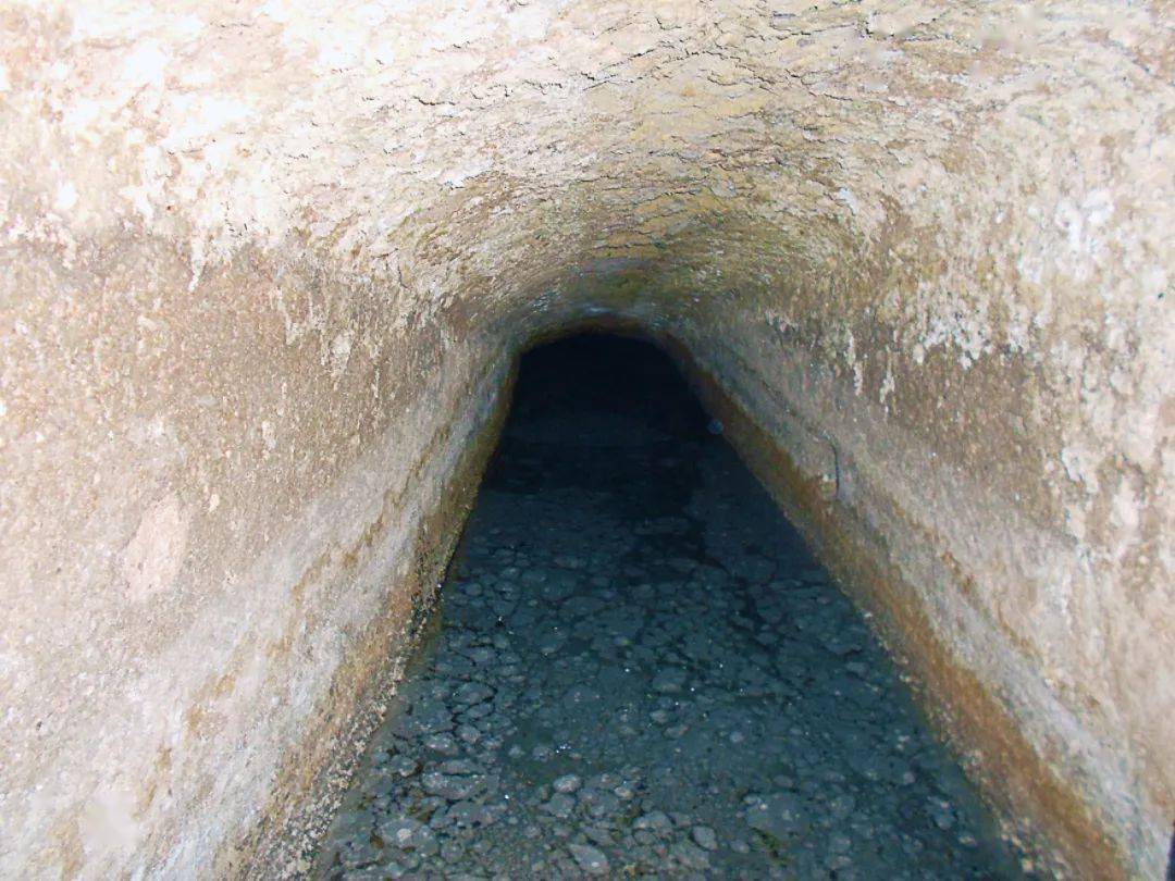 这非常让人惊讶,因为他们声称自己偶然间发现的洞穴真的是"通往地下