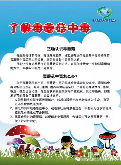 已有多人食用野生蘑菇中毒,鳳城人速轉!