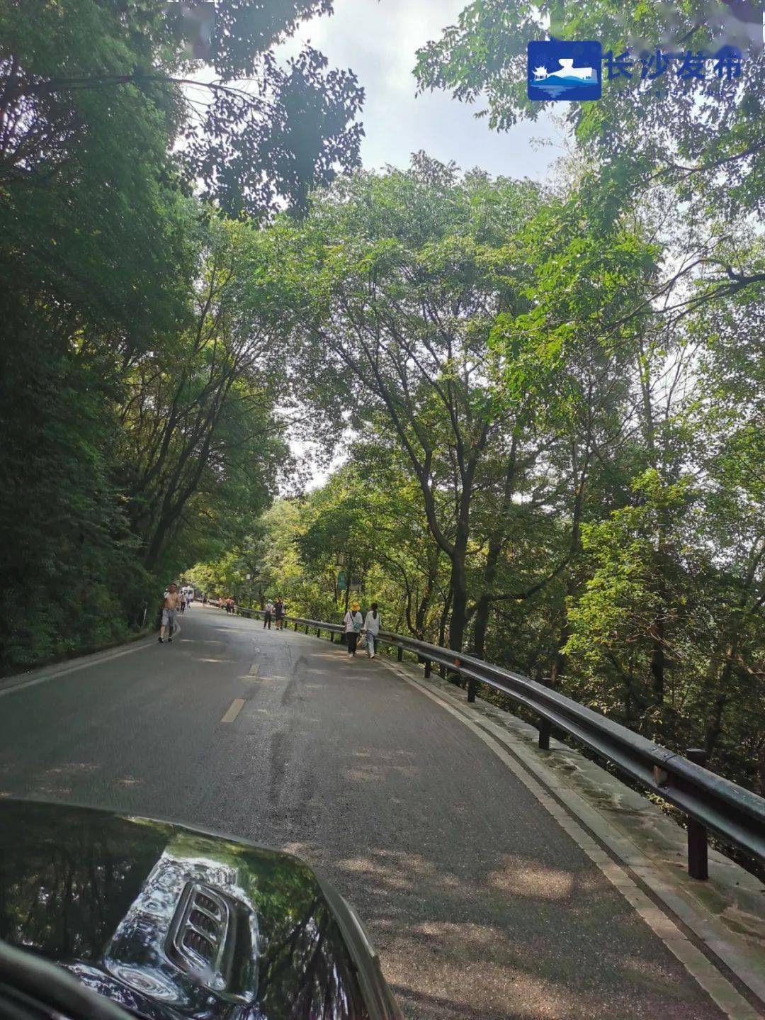 游岳麓山景区必看进山行程有变