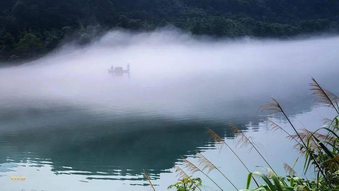 在水一方壁纸图片