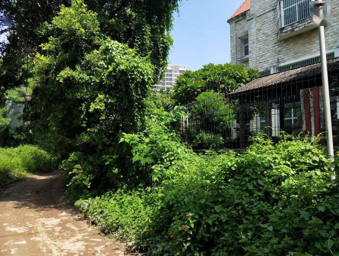 曝光东海岸龙津花园住户遭遇行路难