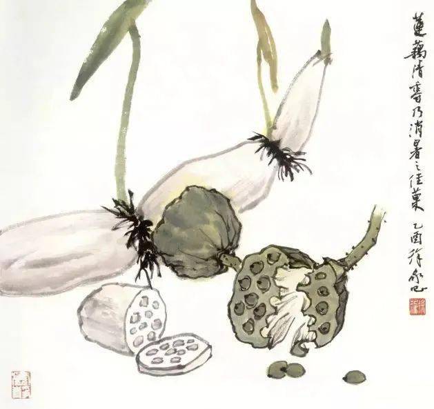 国画教程荷花画法写意和工笔都有看这篇就够了